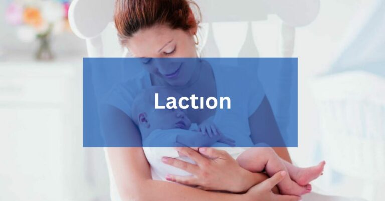 Lactıon – Everything You’re Looking For!