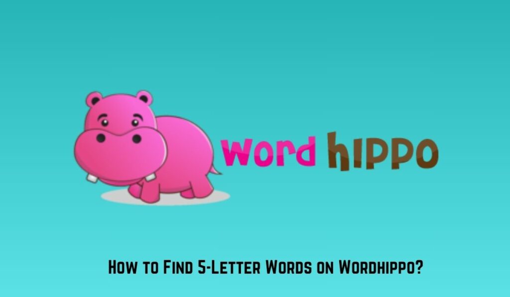 Wordhippo 5 Letter Words A Complete Guidance!