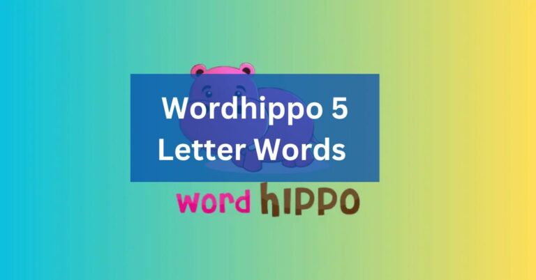 Wordhippo 5 Letter Words – A Complete Guidance!