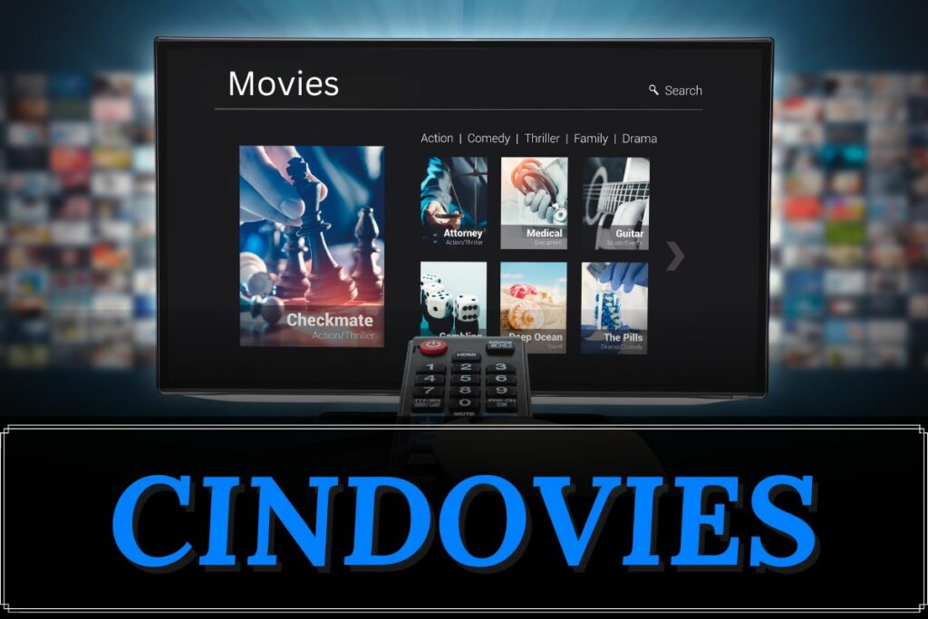 Organizing Your Collections on Cindovies – Let’s See!