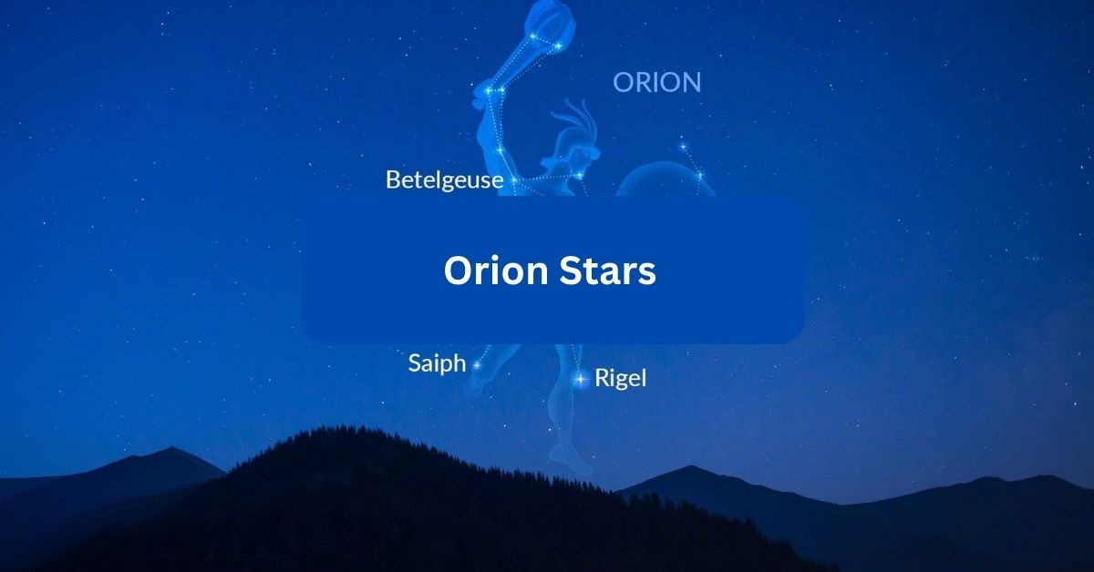 Orion Stars – Dive into a Sea of Entertainment!