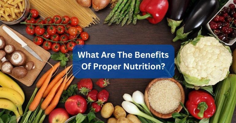 What Are The Benefits Of Proper Nutrition? Explore In Detailed!