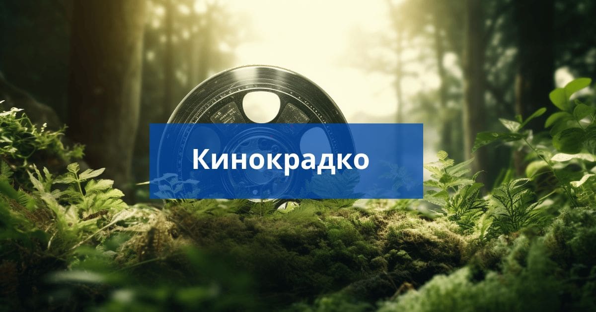 Кинокрадко – Everything You’re Looking For!